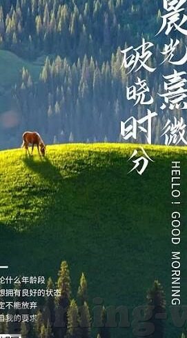最伟大的德州扑克选手-最伟大的德州扑克选手，传奇人物与不败智慧的融合